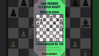 Chesspuzzle 734 [upl. by Anoo37]