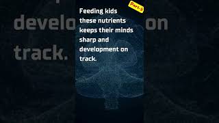 Part5  Best Brain Foods For Kids  A Balanced Diet for Sharp Minds [upl. by Tolmann]