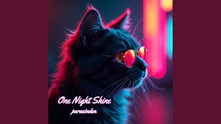 One Night Shine [upl. by Lesde]