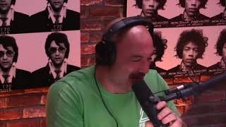 Joe Rogan  Joey Diaz Takes 500mg Edibles [upl. by Prisilla804]