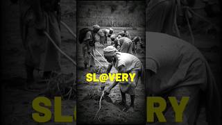 Hidden History Deeply Entrenched Slavery Facts [upl. by Benis]