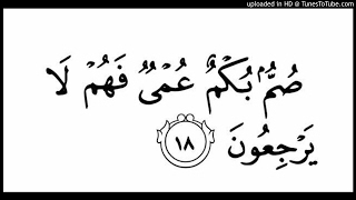 AlBaqarah Ayat 18 [upl. by Middendorf]