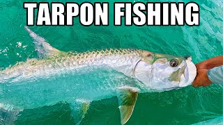 Tampa Bay Tarpon Fishing Madness Tips Tricks And Techniques To Catch Tarpon [upl. by Nylareg594]