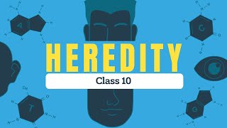 Quick Revision Heredity  Class 10  NCERT Based [upl. by Waldman]