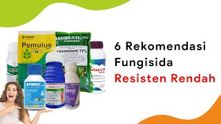 6 Fungisida Resisten Rendah Kontak dan Sistemik Cegah Penyakit [upl. by Johnathan]