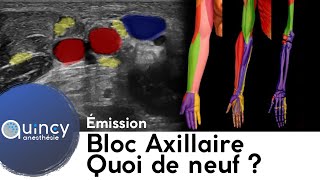 Bloc axillaire quoi de neuf en 2018 [upl. by Ahsienot]