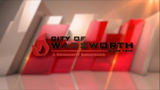 Wadsworth City Council  November 6 2024 [upl. by Aynnek]