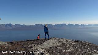 Autumn Sheep Herding  Collecting Sheep On The Mountain [upl. by Jade]