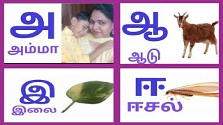 தமிழ் உயிரெழுத்துகள்Quiz1Lesson 15 RevisionTamil Alphabetsஅ ஆ இ ஈTamil learning [upl. by Magocsi]