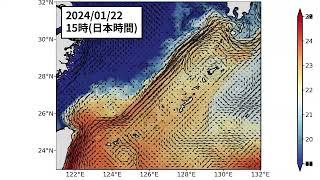 2024年1月30日までの黒潮「短期」予測 番外 沖縄鹿児島周辺 [upl. by Anelak]