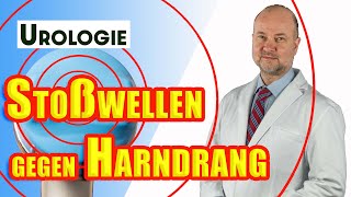 Harndrang bei Prostatavergrößerung mit ESWT behandeln  Urologie [upl. by Sholeen747]