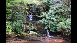 Chilhowee Cascade [upl. by Alaehs]