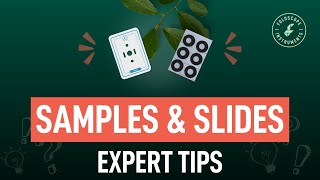 Foldscope 20  Samples amp Slides Expert Tips [upl. by Davita]