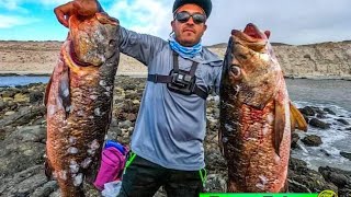 PARGOS CUBERAS GIGANTES pesca en playa de isla Magdalena [upl. by Grim440]