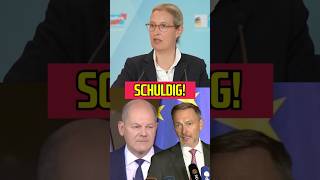 Lindner und Scholz Schuldig ampelaus scholz lindner aliceweidel [upl. by Lipcombe56]