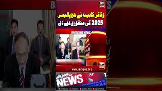 Hajj Policy 2025 hajjpolicy2025 shorts ytshorts youtubeshorts arynews [upl. by Lancey852]