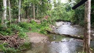 Perfect Location for Outdoor Gathering  Pileh Markham in Morobe Province [upl. by Ylurt603]