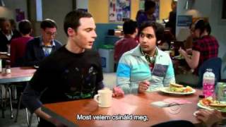 The Big Bang Theory Wolowitzs Card Trick 3 [upl. by Asle830]