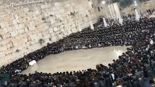 Viznitz Rebbe And Chassidim At The Kosel After Pesach 5784 [upl. by Schapira]