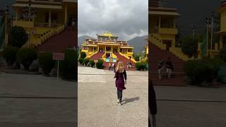 Gyuto Tantric Monastery travel buddhism india [upl. by Laniger]