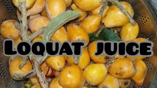 Loquat Juice Recipe  Fresh Home Made Juice  Kitchen Cuisine [upl. by Ahsanat]