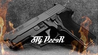 SIG Sauer P229 9mm Review [upl. by Skelly]