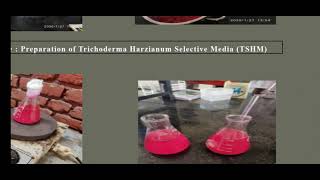 Production Technology of Biocontrol Agent  Trichoderma spp [upl. by Claudius226]