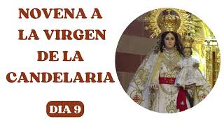 🕯DIA 9 NOVENA A LA VIRGEN DE LA CANDELARIA🙏 [upl. by Nelram526]