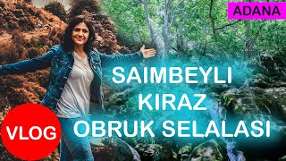 Adana Saimbeyli Obruk Şelalesi ve Kirazı [upl. by Annuahsal]