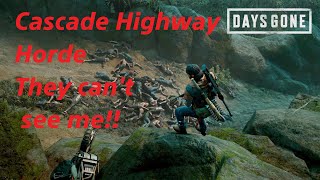 Cascade Hwy Horde  High Ground No bike needed [upl. by Eppie765]