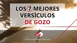 🪁 Los 7 Mejores Versículos de Gozo [upl. by Eiramacissej95]