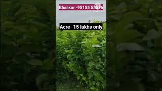 165 Acres land sale  65 Acres agreement land Acre 15 lakhs  kadiri town 12 km NH Ananthapur [upl. by Airehs]