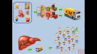 Lipids and Lipoproteins  Part 2 Exogenous Pathway [upl. by Violet]