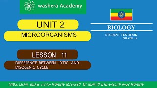 BIOLOGY GRADE 12 UNIT 2 LESSON 11 DIFFERENCE BETWEEN LYTIC AND LYSOGENIC CYCLE [upl. by Oirretna]