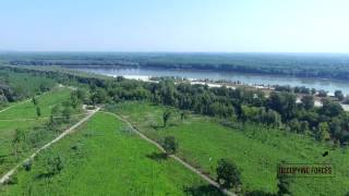 Liberland from Up Above 2 [upl. by Ellennaj]