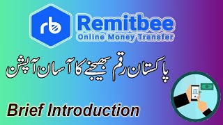 Remitbee Money Transfer  Send money to Pakistan with Remitbee fund transfer [upl. by Arva994]