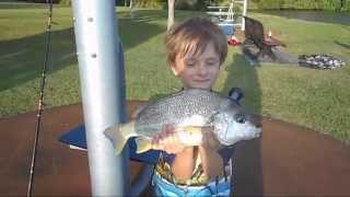 Fishing in the Nerang River  Gold Coast [upl. by Izy]