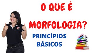 MORFOLOGIA formação de palavras e classe de palavras [upl. by Narah]