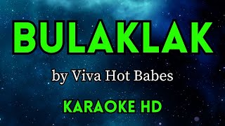 Bulaklak  Viva Hot Babes HD Karaoke kerioketv [upl. by Levinson]