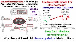 Will Glycine Supplementation Reduce Homocysteine [upl. by Assiram]