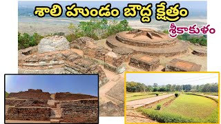 Salihundam  Srikakulam Buddist Monumen  vijaysjourney buddist nature travelvlogs traveller [upl. by Nyleve]