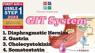 Hernias Gastrin CCK Somatostatin from first aid step 1part 10USMLEUrduHindi [upl. by Udale623]