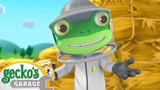 Gecko the Bee Keeper 🐝  Geckos Garage  Fun Kids Cartoon  Kids Videos [upl. by Grindlay]