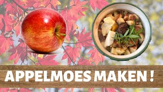 Appelmoes maken met verse Verveine  Recepten [upl. by Batory348]