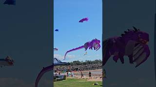 Kite festival Darwin 2024  family baby [upl. by Charisse]