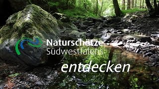 Naturschätze Südwestfalens entdecken [upl. by Ennayllek]