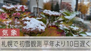 札幌で初雪を観測 平年より10日遅く [upl. by Akemhs]