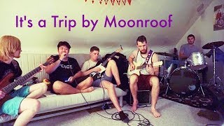 Joywave  Its a Trip Moonroof Cover [upl. by Colbert]