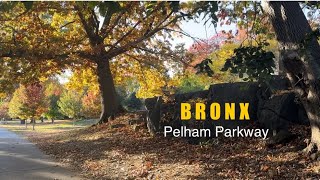 BronxPelham Parkway Fall Foliage [upl. by Aihsela]