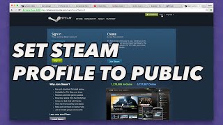 How to set your steam profile to public for SKINS  BETTING [upl. by Eikcaj]